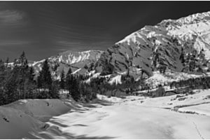 Winter 