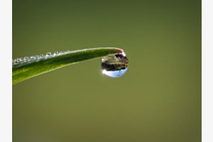 Bilderbuchwetter Bilderbuchwetter