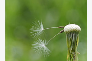 warten auf den Wind warten auf den Wind
