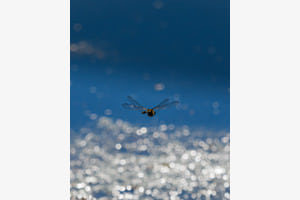 Flug ins Nirgendwo