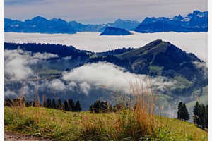 über dem Hochnebel, Rigi