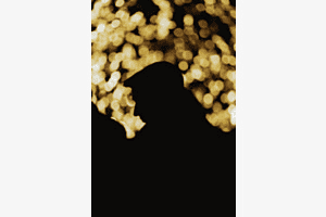 Light me up Light me up
