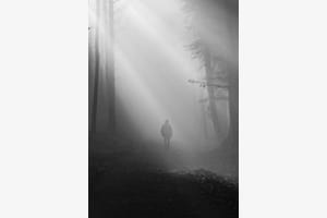 Nebel Wandern