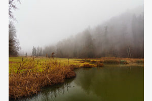 Nebelschwaden am Egelsee