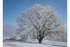 Wintermärchen
