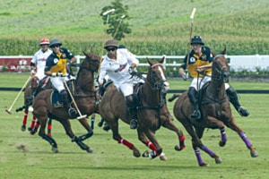 Polospiel mit fliegendem Ball