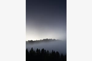 Brume matinale Brume matinale