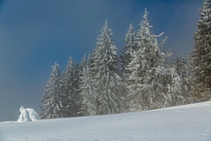 Winter Blues