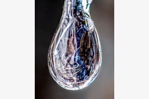 Reflets givrés