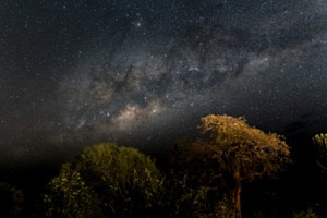 Sterne über dem Tarangire Nationalpark