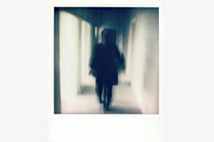 Der Weg ins Unbekannte