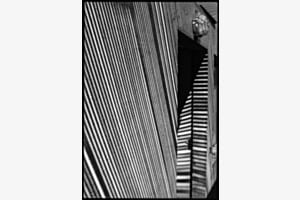 Schatten