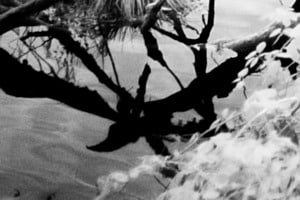 Reflexion infra rot