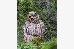 La GRANDE peur dans la forêt