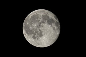 September Moon