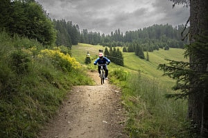 Jump Singeltrail Jump Singeltrail
