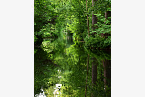 Spreewald