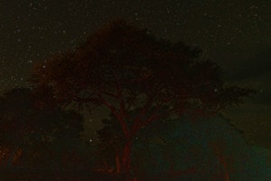 Botswana bei Nacht vor dem Lagerfeuer Botswana bei Nacht vor dem Lagerfeuer
