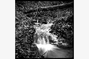 The Stream The Stream