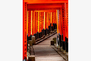 the path the path