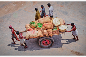 Transport