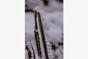Winterzauber
