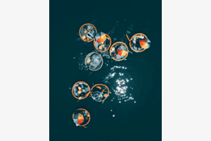Floating 