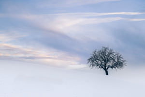 Allein im Schnee Allein im Schnee