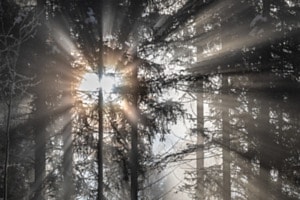 Winterlicht Winterlicht