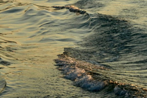 Wasserwelle im Abendlicht