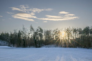 Weinland im Winter Weinland im Winter