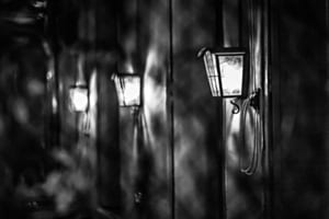 Light into the Dark Light into the Dark
