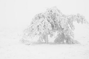 Winterstille