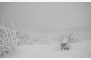 Winterruhe