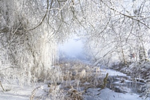 an der Aare