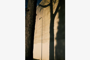 Streetlight