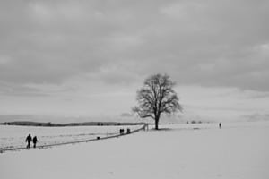 White Winter
