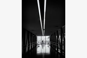 Zum Licht