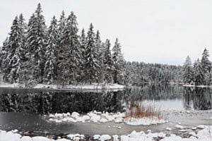 Winter am Etang de la Gruère