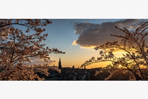 Frühlingshafter Sonnenuntergang