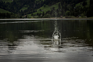 water splashes
