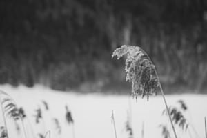 Winterliche Stille