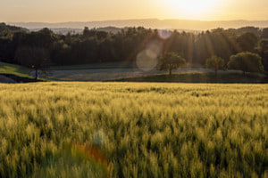 Ruhiger Frühlingsabend