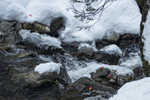 Schnee - Wasser