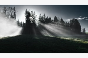 Dezemberlicht