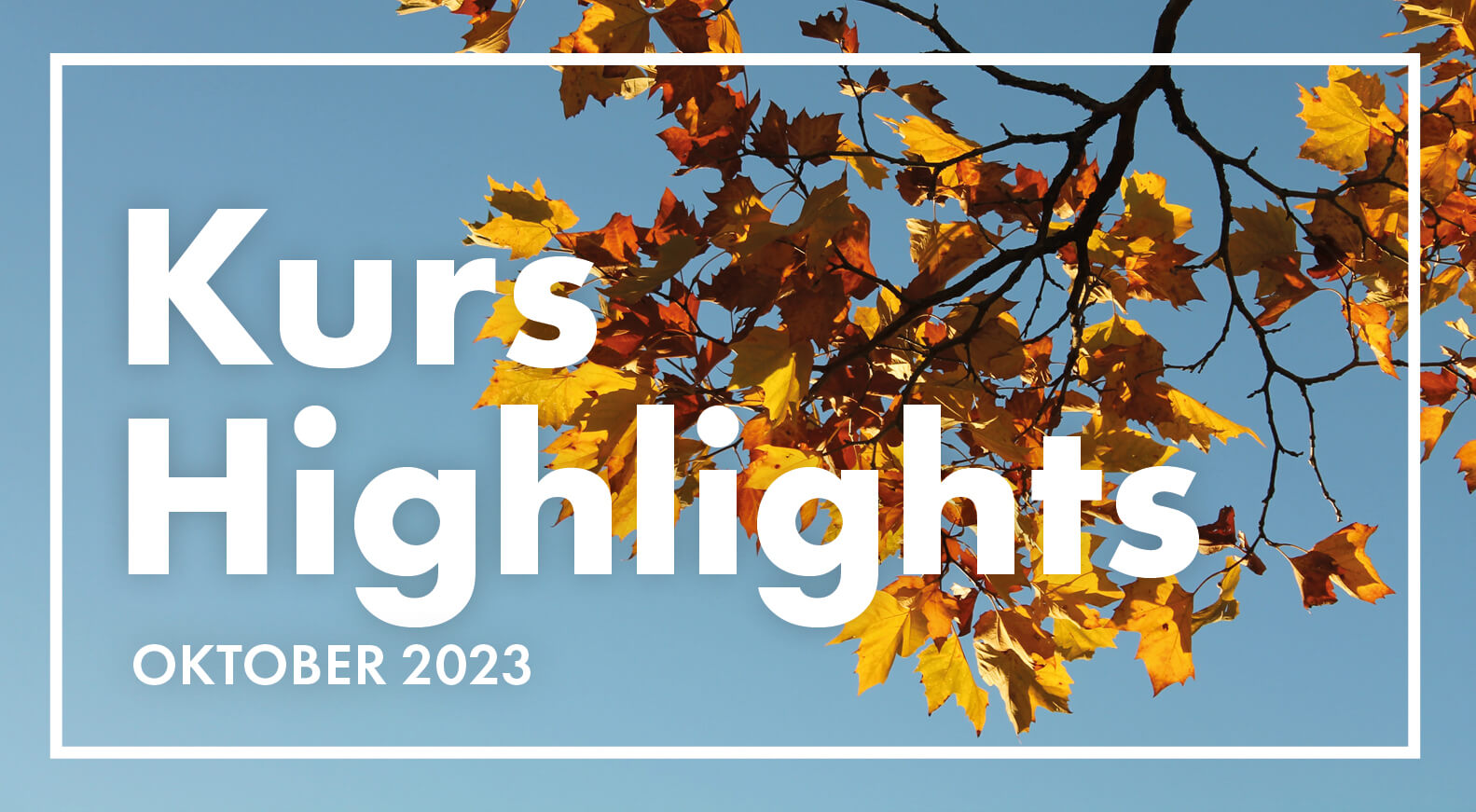 Kurshighlights im Oktober 2023