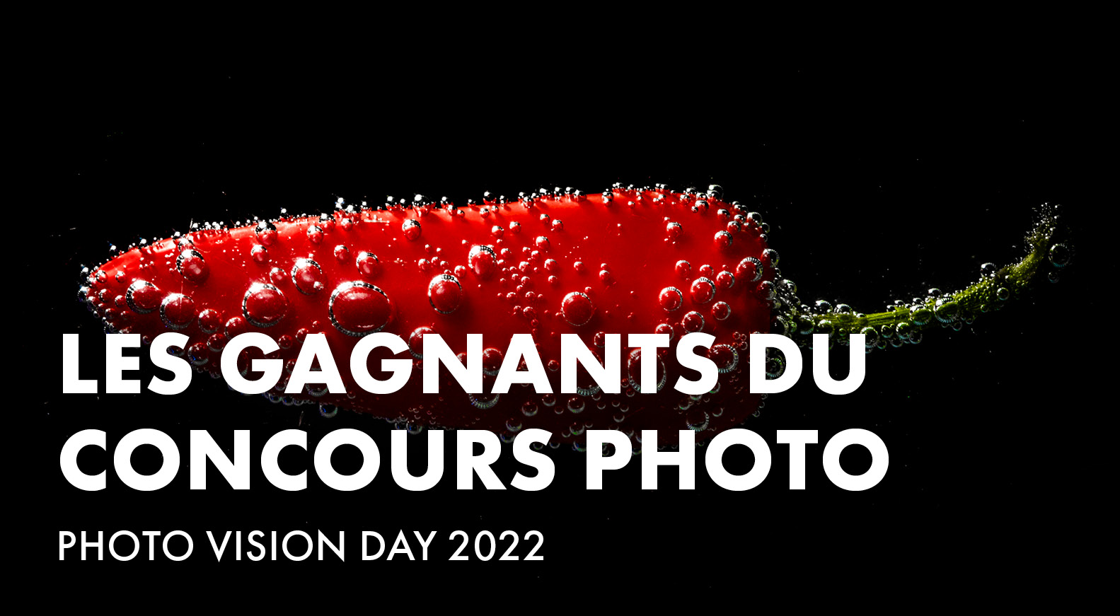 Les gagnants du concours Photo Vision Day 2022