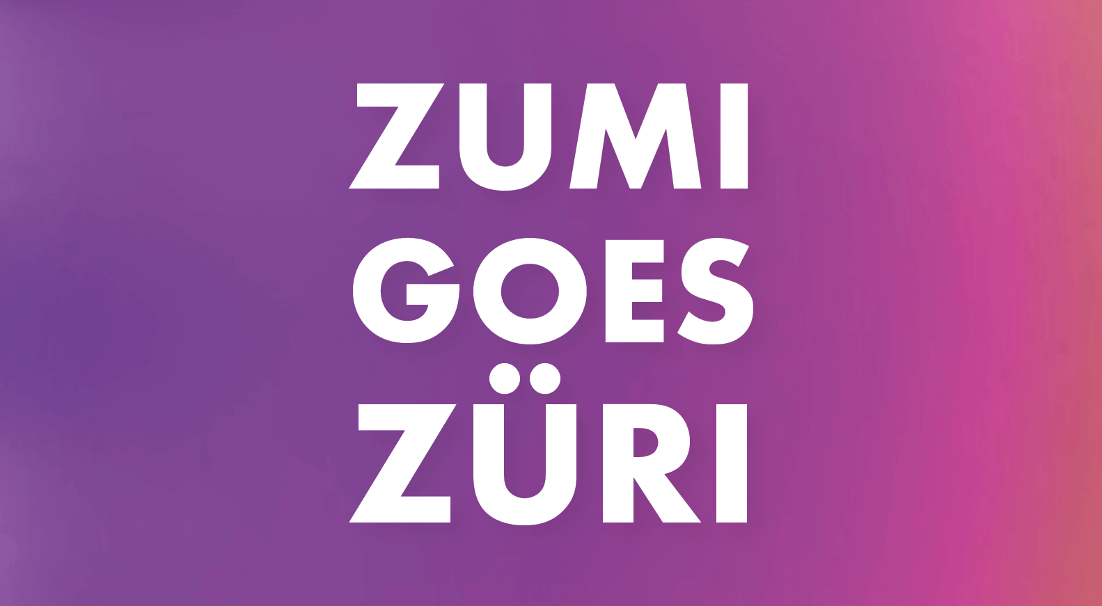 Zumi goes Züri – Updates zum Ladenbau und Demo Day Termine