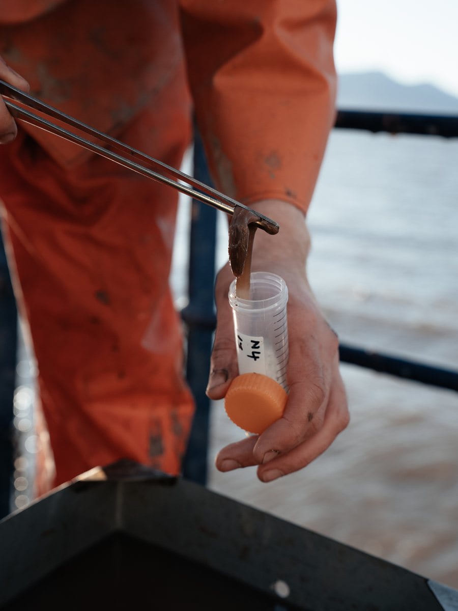 Sedimentprobe an Deck